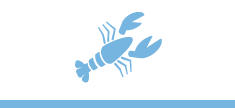 Système de conservation du homard