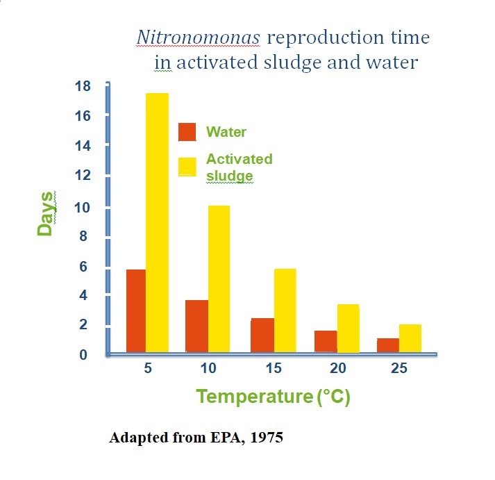 Graph température vs nitrification rate