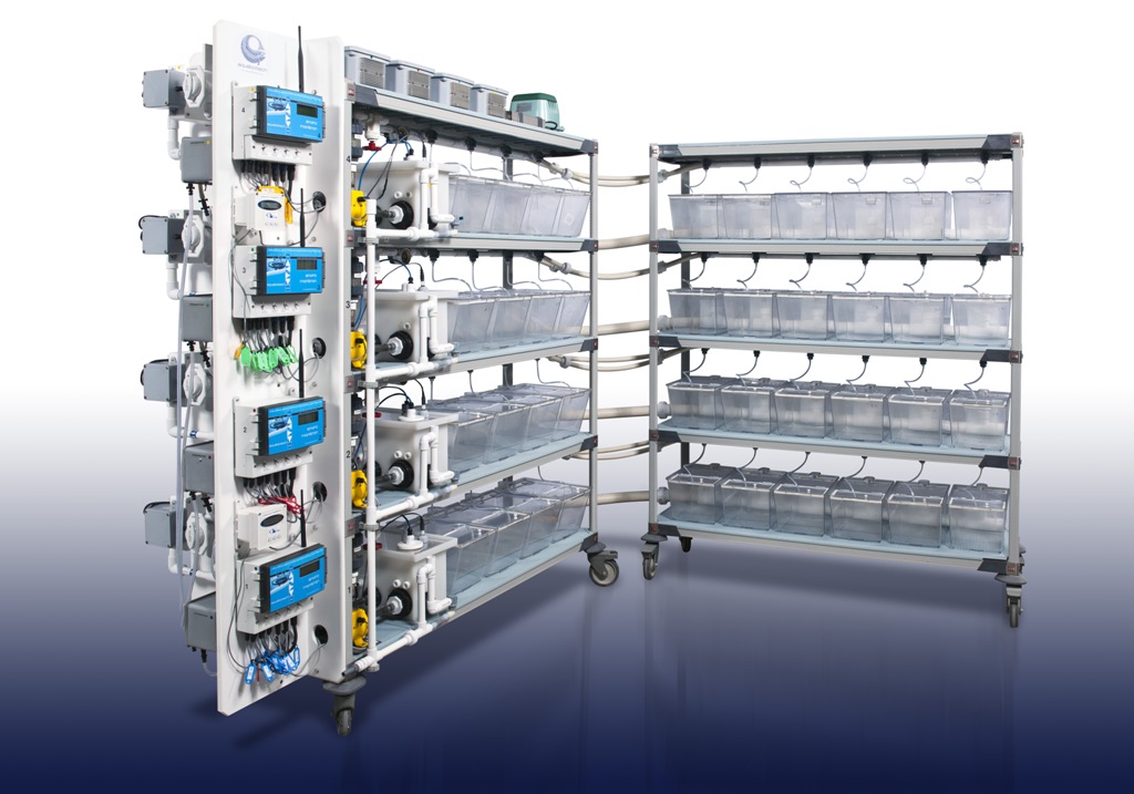 Four identical aquatic systems to study the impact of polluded effluents and hypoxia on fish