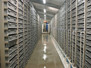 Lobster trays in vertical shelving for long-term storage