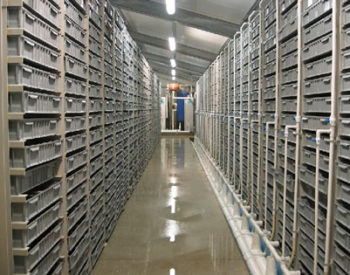 Lobster trays in vertical shelving for long-term storage