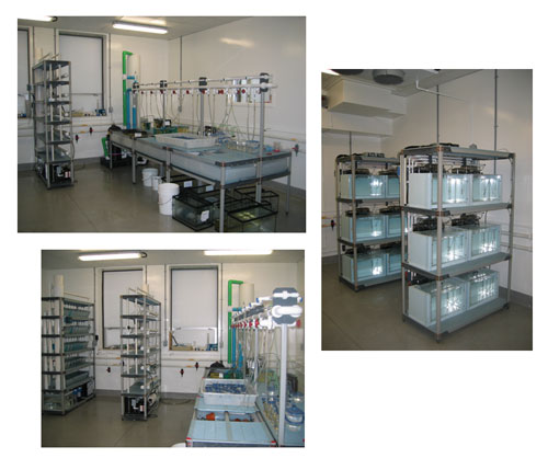 UNBSJ-Marine lab