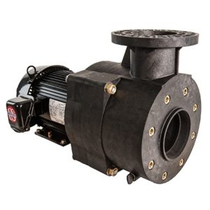 Pentair Aquatic Eco Systems Verus 850 Pump